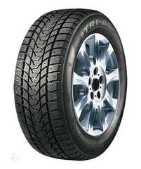 Tri-Ace Snow master 245/40R20 99 H цена и информация | Зимние шины | hansapost.ee