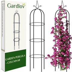 Садовая беседка Gardlov 21029 цена и информация | Декорации для сада | hansapost.ee