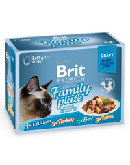 Brit Premium Gravy fillet Family plate komplekt, 48x85 g hind ja info | Kassikonservid | hansapost.ee