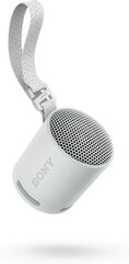 Sony SRSXB100H.CE7 цена и информация | Аудиоколонки | hansapost.ee