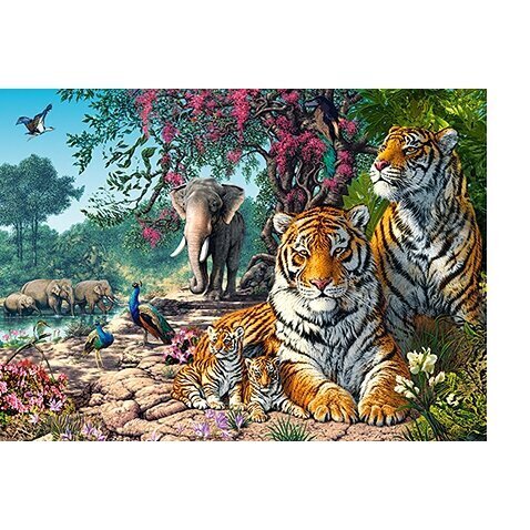 Puzzle 300 TIGER SANCTUARY 030484 hind ja info | Pusled lastele ja täiskasvanutele | hansapost.ee