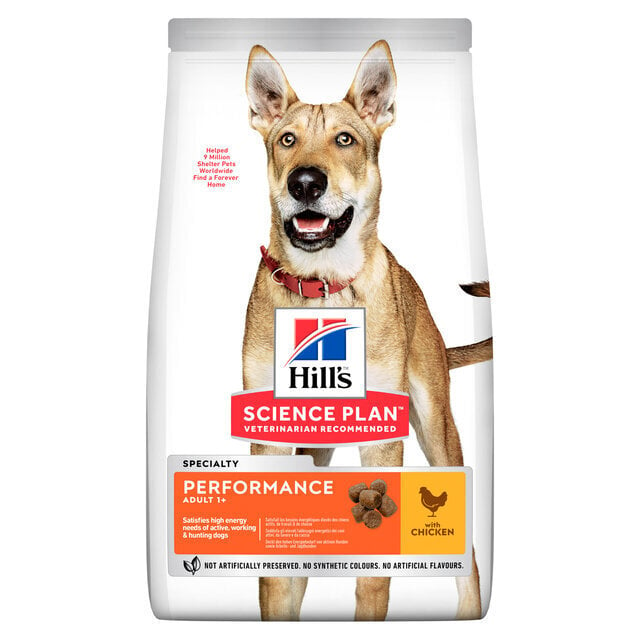 Hill's Science Plan aktiivsetele täiskasvanud koertele kanaga, 14 kg цена и информация | Koerte kuivtoit ja krõbinad | hansapost.ee