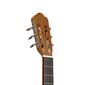 Elektroklassikaline kitarr Angel Lopez Graciano SM-CE цена и информация | Kitarrid | hansapost.ee