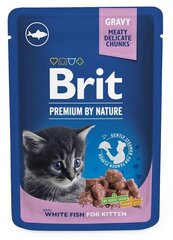 Brit Premium Pouch для котят с белой рыбой, 24х100 г цена и информация | Brit Premium Товары для животных | hansapost.ee