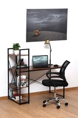 Loft desk with an additional MDF bookcase 120x60x75/122 cm цена и информация | Компьютерные, письменные столы | hansapost.ee