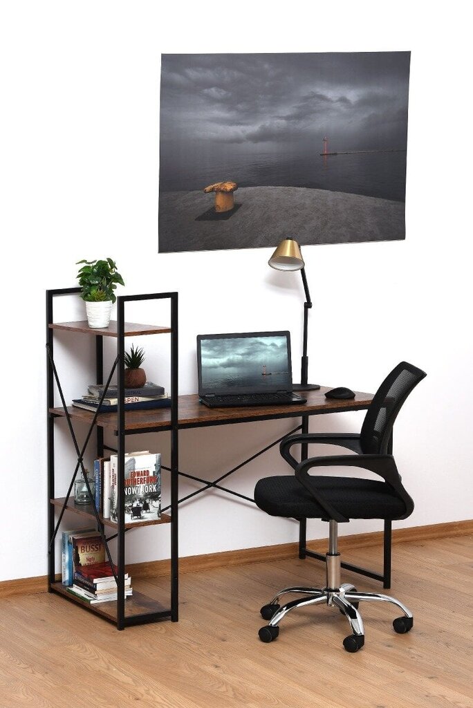 Loft desk with an additional MDF bookcase 120x60x75/122 cm hind ja info | Arvutilauad, kirjutuslauad | hansapost.ee