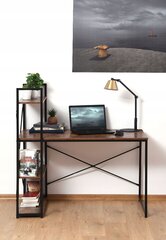 Loft desk with an additional MDF bookcase 120x60x75/122 cm цена и информация | Компьютерные, письменные столы | hansapost.ee