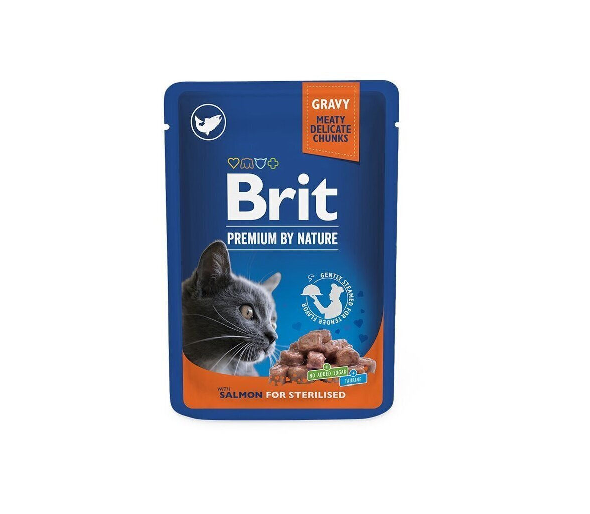 Brit Premium Pouch steriliseeritud kassidele koos lõhega, 24x100g hind ja info | Kassikonservid | hansapost.ee