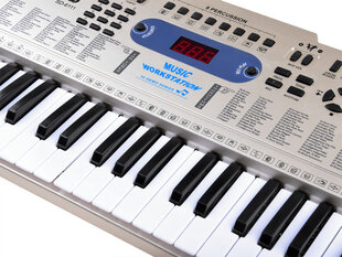 Синтезатор с микрофоном SD-6111A, 61 клавиша золото цена и информация | Развивающие игрушки для детей | hansapost.ee