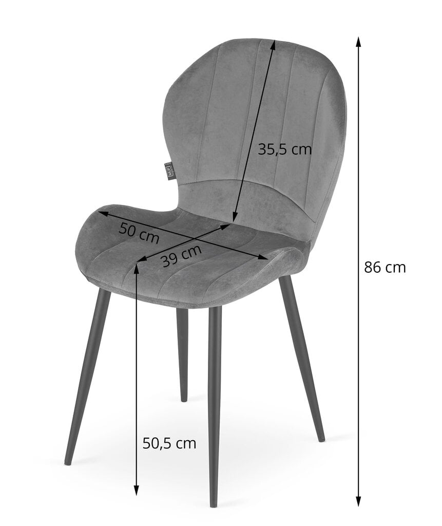 2-tooli komplekt Terni, sinine цена и информация | Köögitoolid, söögitoolid | hansapost.ee