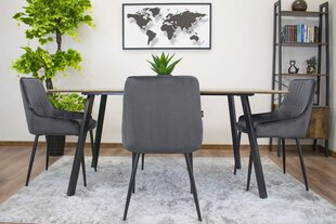 Комплект из 3 стульев Monza, серый цена и информация | Стулья для кухни и столовой | hansapost.ee