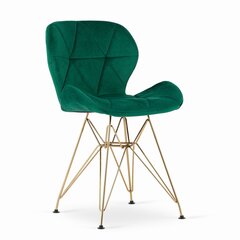 Комплект из 2-х стульев Nest, зеленый цена и информация | Стулья для кухни и столовой | hansapost.ee