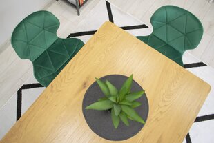 Комплект из 3-х стульев Nest, зеленый цена и информация | Стулья для кухни и столовой | hansapost.ee