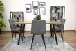 2-tooli komplekt Kara, hall hind ja info | Köögitoolid, söögitoolid | hansapost.ee