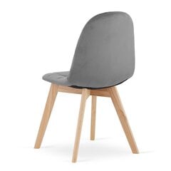 2-tooli komplekt Bora, hall hind ja info | Köögitoolid, söögitoolid | hansapost.ee