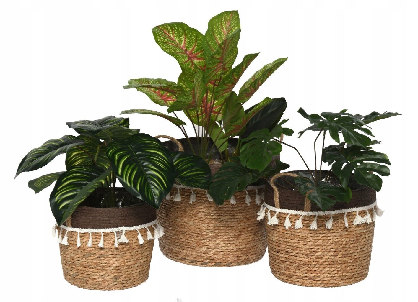 3x decorative basket seagrass braided straw hind ja info | Lillepotid | hansapost.ee