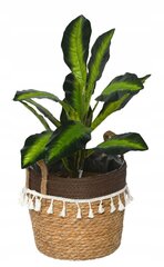 Decorative basket woven natural seagrass S цена и информация | Ящики для рассады | hansapost.ee