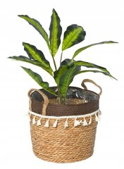 Decorative woven basket natural seagrass M hind ja info | Sisustuselemendid | hansapost.ee