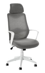 Gray swivel swivel office armchair hind ja info | Kontoritoolid | hansapost.ee