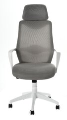 Gray swivel swivel office armchair цена и информация | Офисные кресла | hansapost.ee