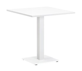 TABLE BISTRO FARO 70X80X74CM ALU WHITE MAT AW 324049 цена и информация | Кухонные и обеденные столы | hansapost.ee