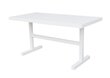 TABLE ELBA LUNCH 144X73X70CM ALU WHITE MAT цена и информация | Aialauad | hansapost.ee