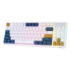Mehaaniline klaviatuur Royal Kludge RK89 RGB, Lemon switch, valge hind ja info | Klaviatuurid | hansapost.ee