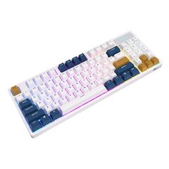Mehaaniline klaviatuur Royal Kludge RK89 RGB, Lemon switch, valge hind ja info | Klaviatuurid | hansapost.ee