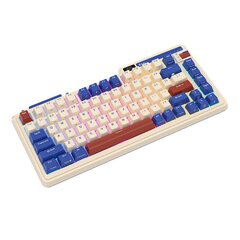 Mehaaniline klaviatuur Royal Kludge KZZI K75 pro RGB, Moment Switch, retro sinine hind ja info | Klaviatuurid | hansapost.ee