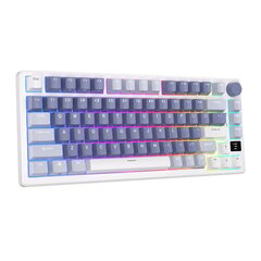 Mehaaniline klaviatuur Royal Kludge RKM75 RGB, hõbedane switch, sinine price and information | Keyboards | hansapost.ee