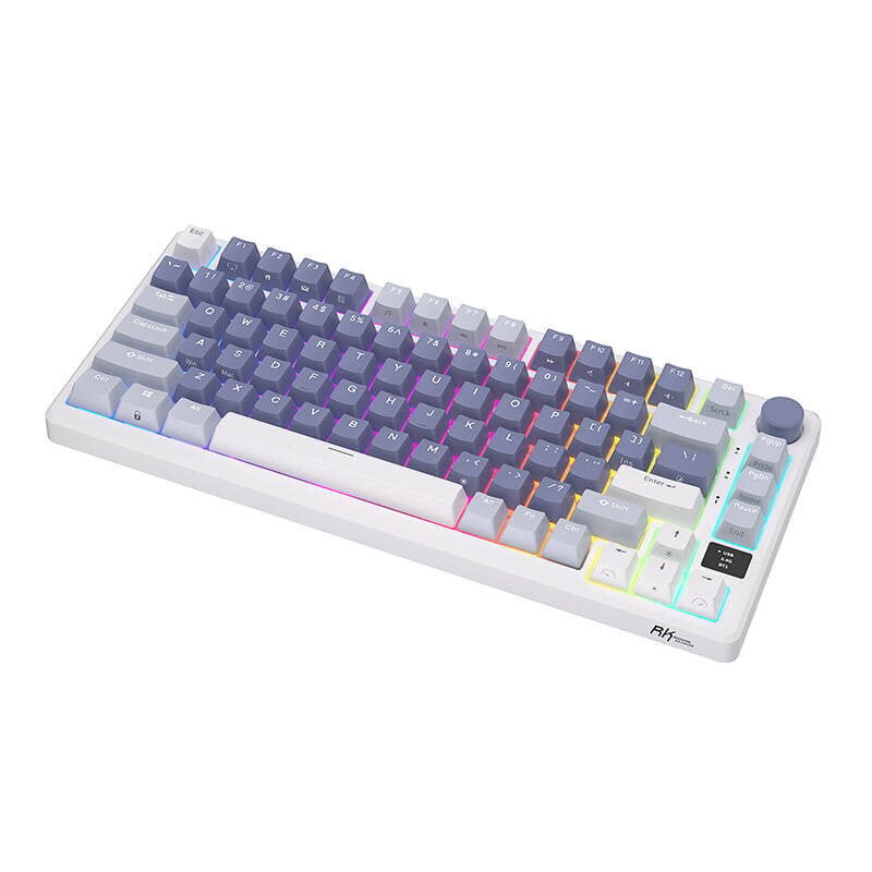 Mehaaniline klaviatuur Royal Kludge RKM75 RGB, hõbedane switch, sinine цена и информация | Klaviatuurid | hansapost.ee