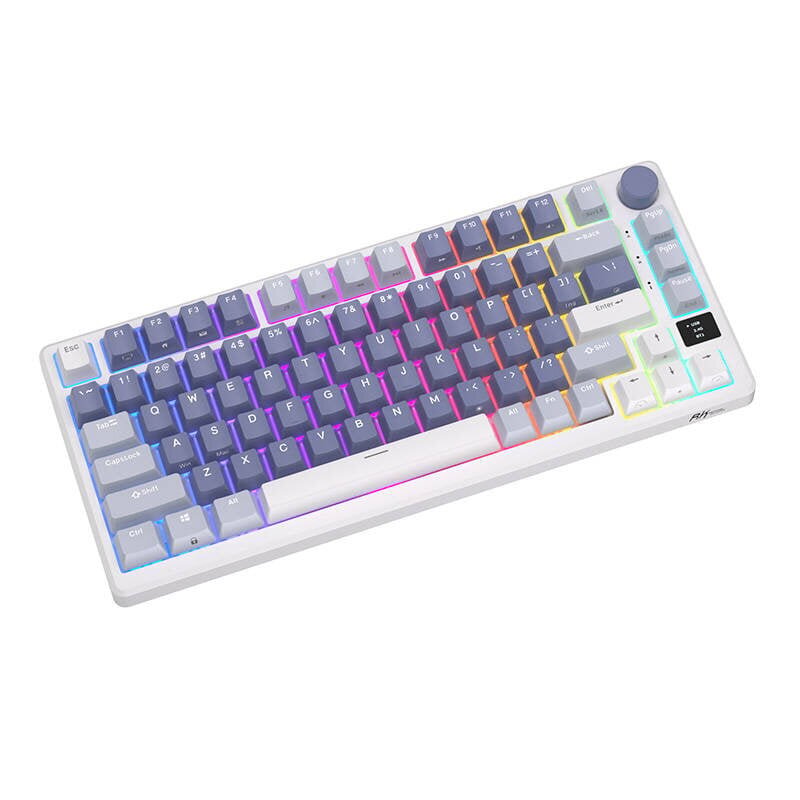 Mehaaniline klaviatuur Royal Kludge RKM75 RGB, hõbedane switch, sinine цена и информация | Klaviatuurid | hansapost.ee
