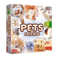 Описание
Домашние животные и друзья
В игре Pets & Friends игроки пытаются найти символы на плитках лицом вниз, необходимые для получения карточек с домашними животными. Собранные питомцы дают игрокам как очки в конце игры, так и специальные способности, помогающие заработать больше питомцев.
Номер детали
02443
Тип: Семейное и социальное
Минимум Количество игроков 2
Макс. Количество игроков 4
База версий
Языковая версия: английский
Минимальный возраст 6 лет
Пол Мальчики
Пол Девочки
Продукт с батарейным питанием нет
Батареи в комплекте
Питание Не применимо
Другие функции
Размеры упаковки: 24,5 х 24,5 х 5,3 см цена и информация | Настольные игры | hansapost.ee