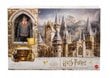 Advendikalender Harry Potter hind ja info | Mänguasjad poistele | hansapost.ee