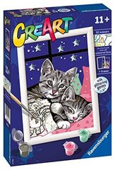 Ravensburger - серия Creart и сладкие котята, краска 11+ лет, 202133 цена и информация | Живопись по номерам | hansapost.ee