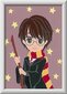 Maali numbrite järgi Ravensburger Harry Potter, 13 x 18 cm цена и информация | Maalimiskomplektid numbrite järgi | hansapost.ee