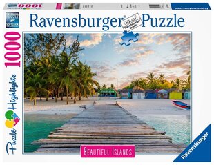 Ravensburgeri mõistatus Maldiivid Paradise 1000p 16912 hind ja info | Pusled lastele ja täiskasvanutele | hansapost.ee