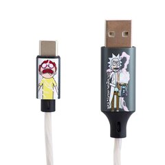 Valgustatud laadimiskaabel pistikutega USB A-C, 1,2 m pikkune Rick ja Morty hind ja info | Mobiiltelefonide kaablid | hansapost.ee