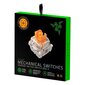 Razer Orange Switches X 36 цена и информация | Klaviatuurid | hansapost.ee