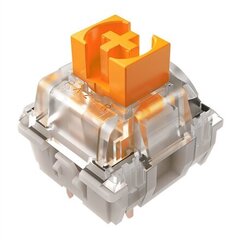 Razer Orange Switches X 36 hind ja info | Klaviatuurid | hansapost.ee