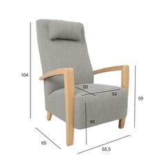 Armchair VENLA beige цена и информация | Кресла для отдыха | hansapost.ee