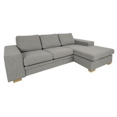 Corner sofa DAGMAR beige цена и информация | Угловые диваны | hansapost.ee