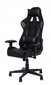 Diavolo Ii Gray Office Gaming Chair, 72x56x128/138cm цена и информация | Kontoritoolid | hansapost.ee
