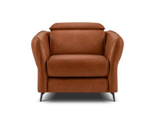 Кожаное кресло Windsor & Co Hubble, 100x96x76 см, коричневое цена и информация | Кресла | hansapost.ee