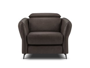 Кожаное кресло Windsor & Co Hubble, 100x96x76 см, темно-коричневый цвет цена и информация | Кресла | hansapost.ee