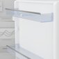 Beko BCNA306E42SN цена и информация | Külmkapid-külmikud | hansapost.ee