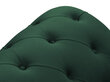 Fotelis Windsor & Co Juno, 132x96x91 cm, roheline/must hind ja info | Tugitoolid | hansapost.ee