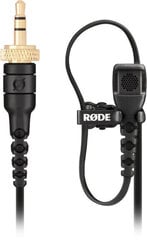 Rode микрофон Lavalier II цена и информация | Микрофоны | hansapost.ee