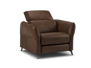 Кожаное кресло Windsor & Co Hubble, 100x96x76 см, темно-коричневый цвет цена и информация | Кресла | hansapost.ee