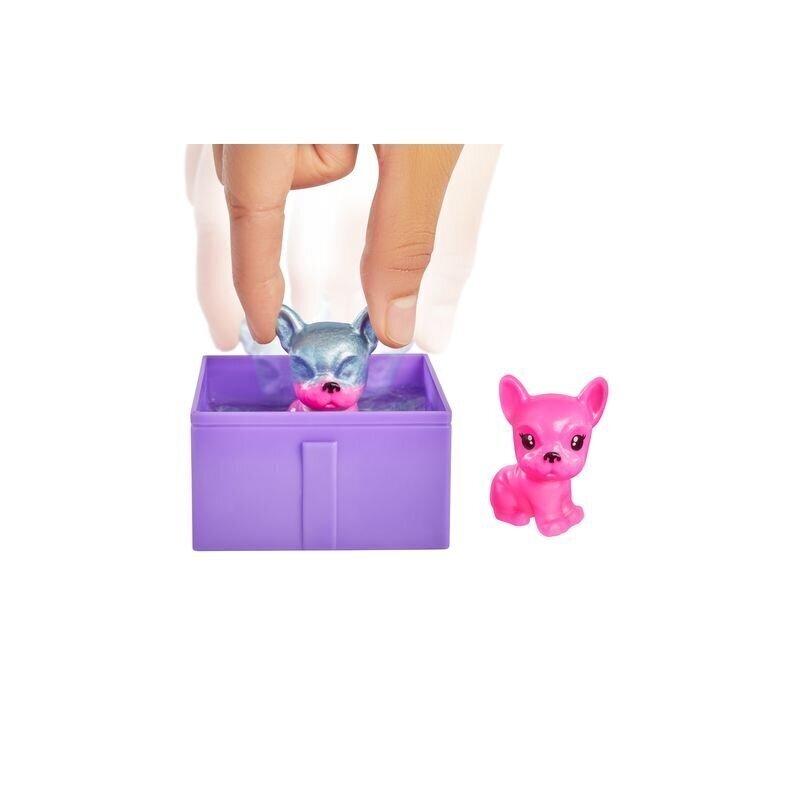 Nukk Barbie lemmiklooma üllatuskomplekt, peosari цена и информация | Mänguasjad tüdrukutele | hansapost.ee